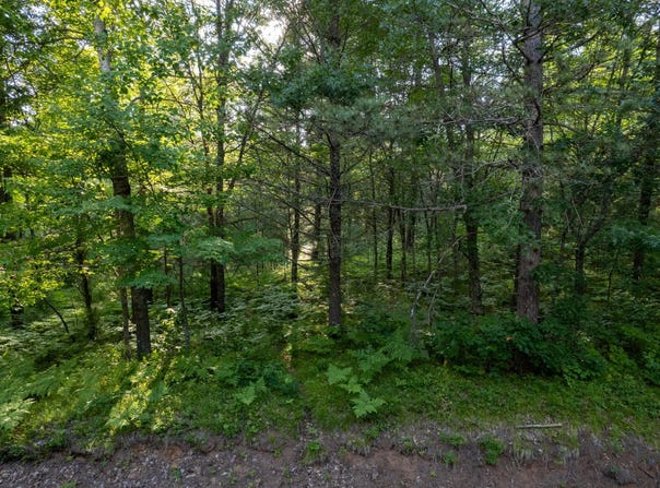Lot 14 DADS LAKE RD, Eagle River, WI 54521