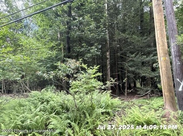 Lot 3 EDGE ROCK  DR, Drums, PA 18222