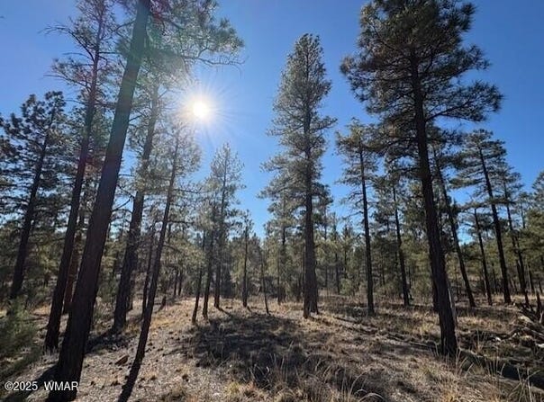 3461 W Black Oak Loop, Show Low, AZ 85901
