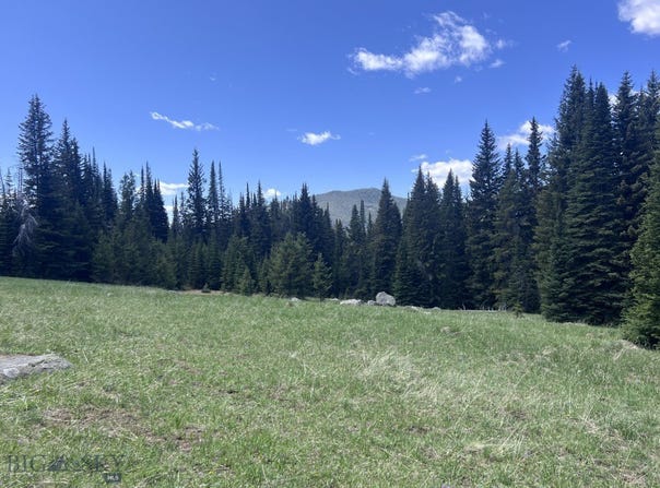 NHN Rimini Rd, Helena, MT 59601