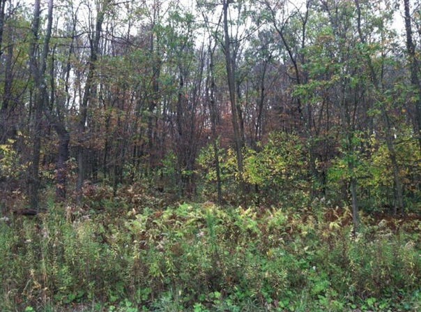 75 Shelby Lane, Shippenville, PA 16254
