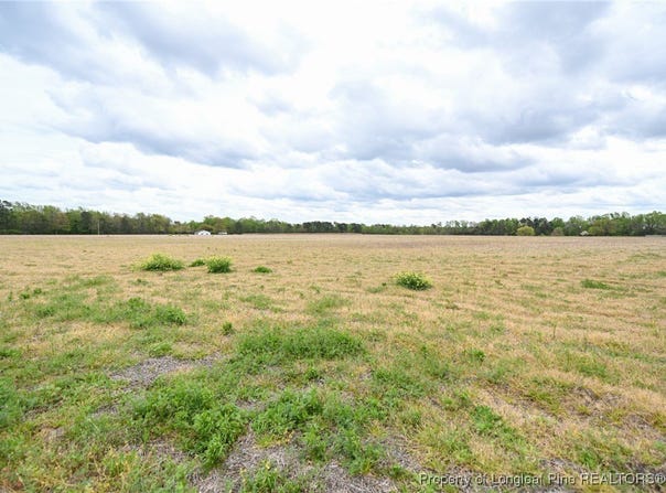 95 Mamie Road, Benson, NC 27504