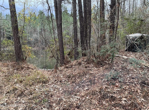 Berwick Cassels Road, Gloster, MS 39638