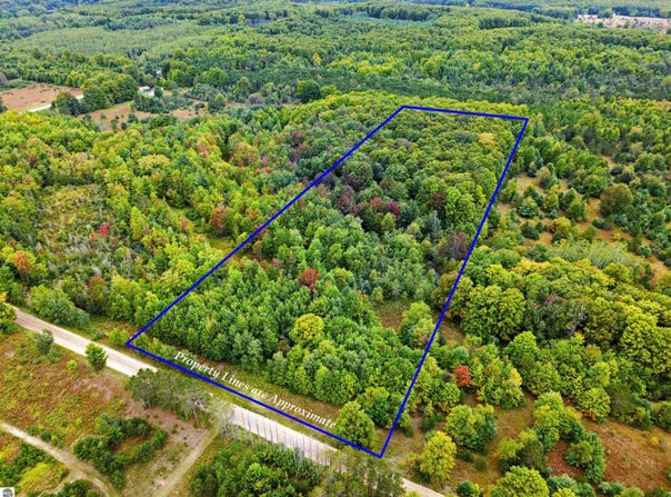 Shively Road, Fife Lake, MI 49633