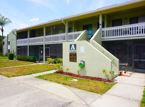 20853 HAULOVER Cove, LUTZ, FL 33558