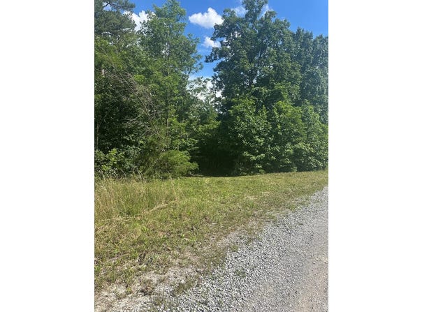 Buckeye Lane lot: 2, Wilder, TN 38589