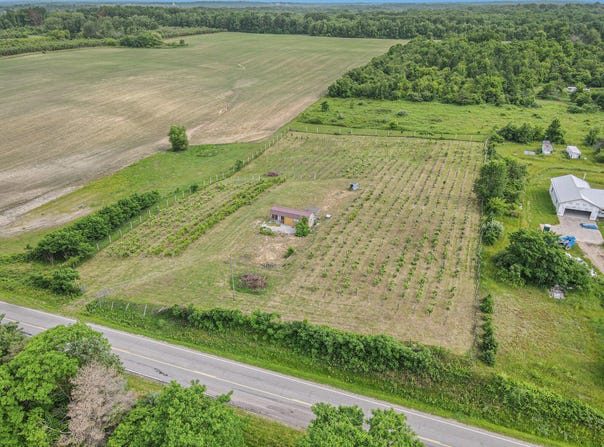 56278 County Road 365, Lawrence, MI 49064