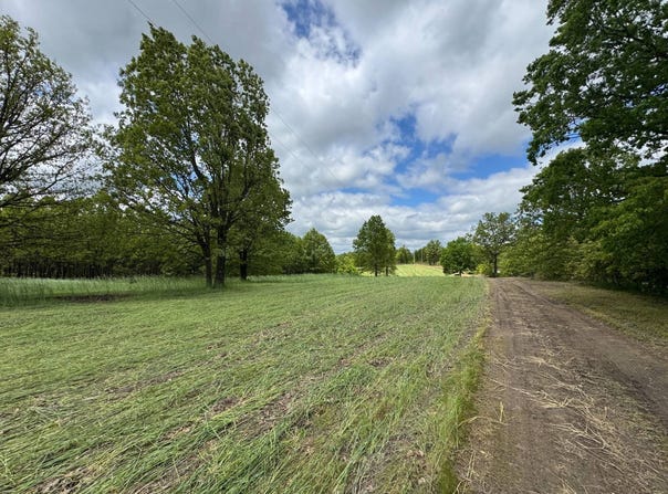 000 Osborn Bluff Road, Tunas, MO 65764