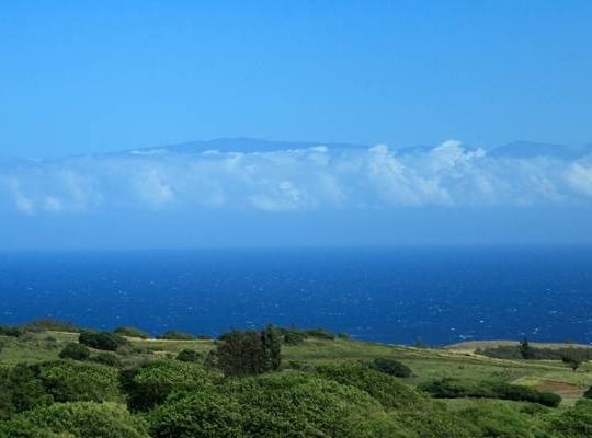 Hawi, HI 96719
