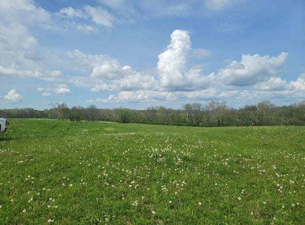 635A Lot A White Oak Road lot: A, Stamping Ground, KY 40379