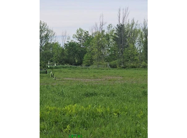 206 kimmy rd, Delanson, NY 12053