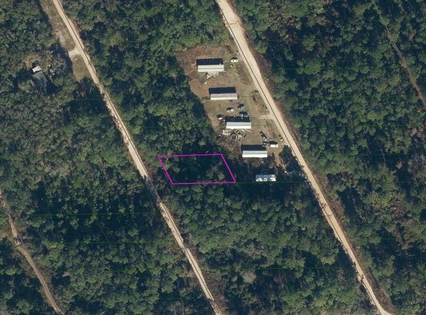 116 COOT ROAD, SATSUMA, FL 32189