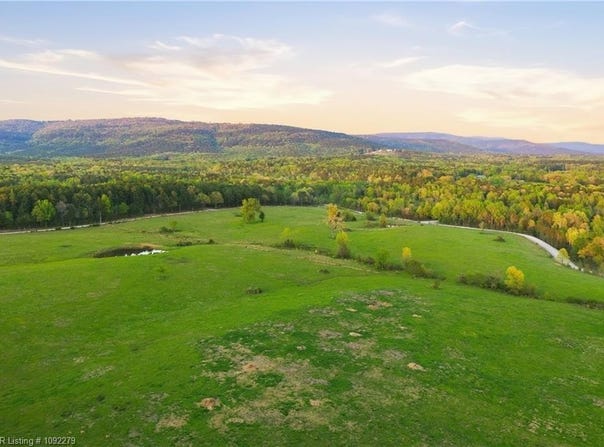 50 acres County Road 4418, Clarksville, AR 72830