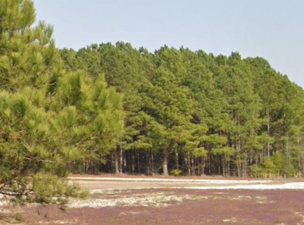 Parcel #3 Bob Lee Lane, Dunn, NC 28334