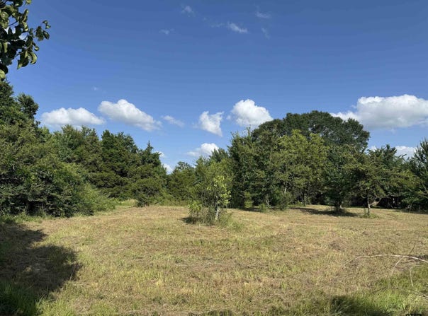 TBD 3053, Mt Pleasant, TX 75455