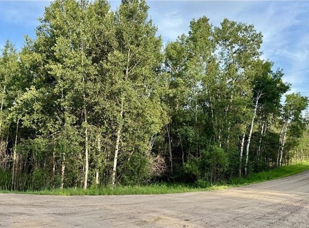 Tbd Holly Road, Park Rapids, MN 56470