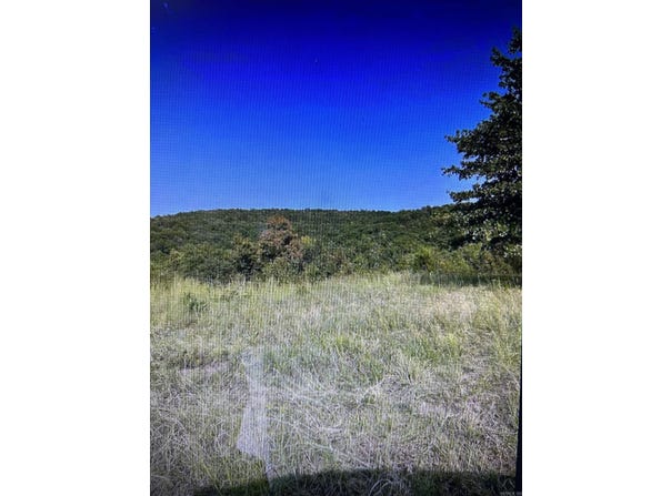 Spears, Greenbrier, AR 72058