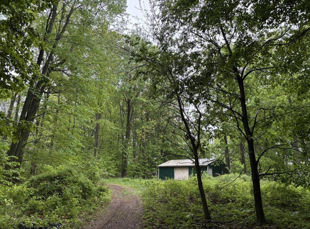 5220 Park Drive, Six Lakes, MI 48886