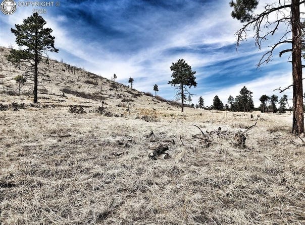 377 Color Sweet Drive, Cotopaxi, CO 81223