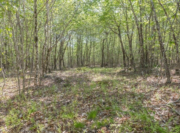 M6, L3 Beech Hill Pond Road, Dedham, ME 04429