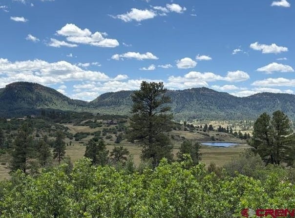 311 E Arbol Park Drive, Pagosa Springs, CO 81147