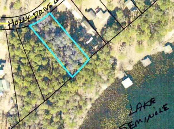 Lot 1014 Holly Drive Loop, Donalsonville, GA 39845