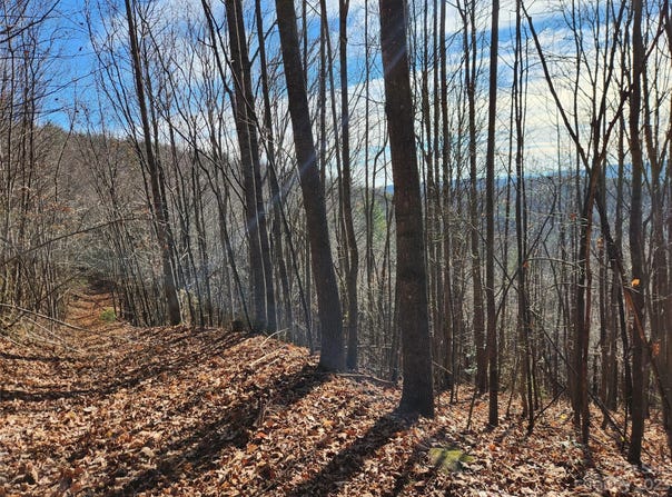 6900 Mertie Road, Millers Creek, NC 28651