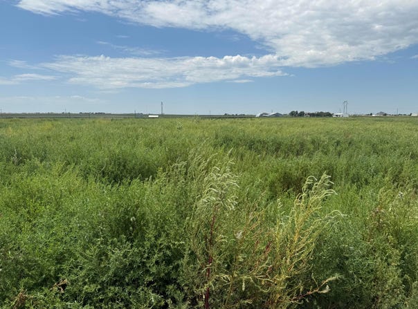 0 Blessen (BT29) Road, Amarillo, TX 79124