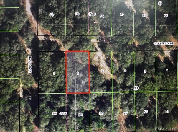 2607 Garfield Street, Inverness, FL 34453