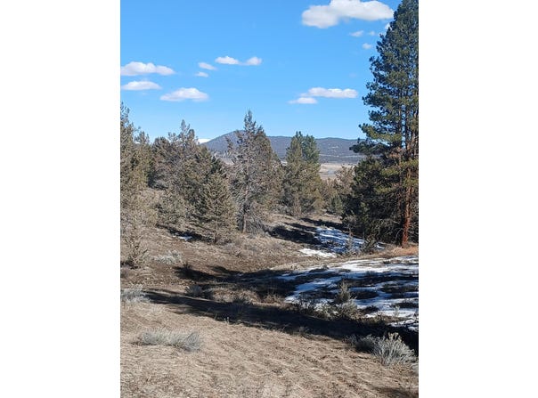 Drews Road, Beatty, OR 97621