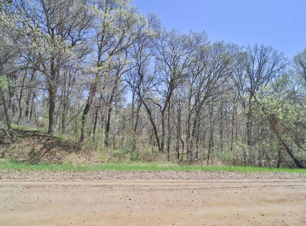 Cedar St, Breezy Point, MN 56472