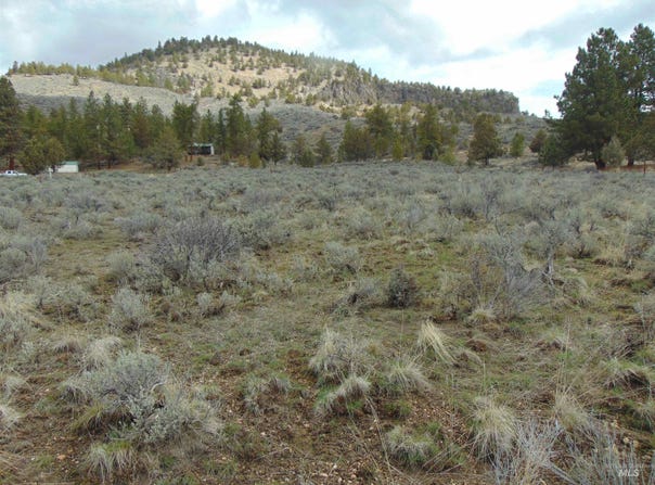 Rattlesnake Ln., Unity, OR 97884