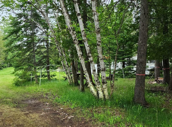 26928 POINT AUX FRENES RD, GOETZVILLE, MI 49736