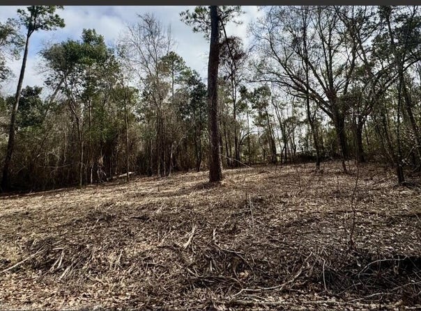 Elaine Street, Waveland, MS 39576