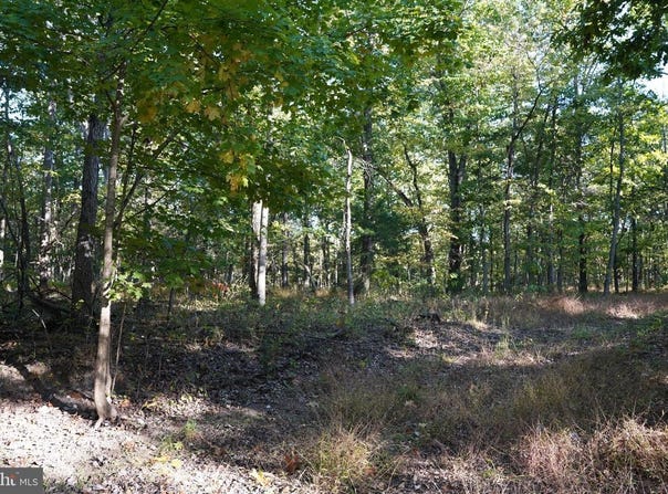 CEDAR LN, MARTINSBURG, WV 25404