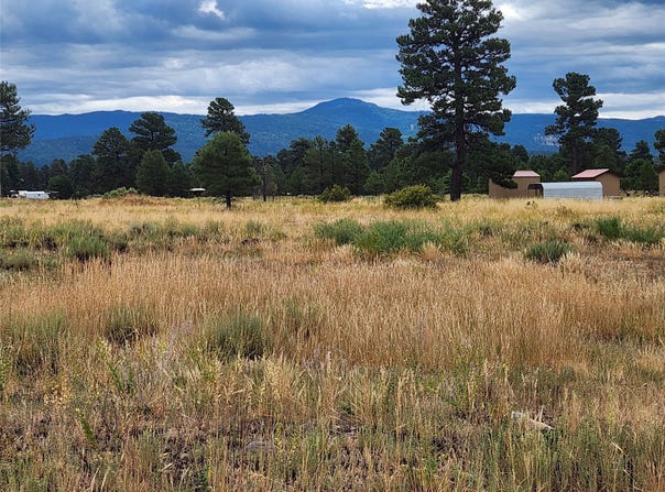 1352 Capuline, Chama, NM 87520