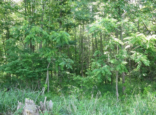 1200  E Co Rd 1100 S, Clay City, IN 47841