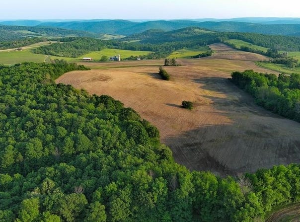 2060 Rietter Hill Road, Westfield, PA 16950