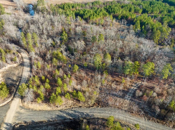 17 Painted Bunting Trail, Smithville, OK 74957