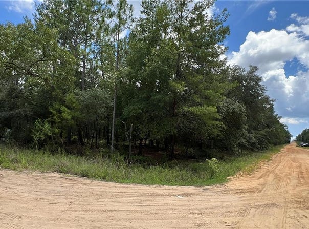 00 KENNEDY AVENUE, INTERLACHEN, FL 32148
