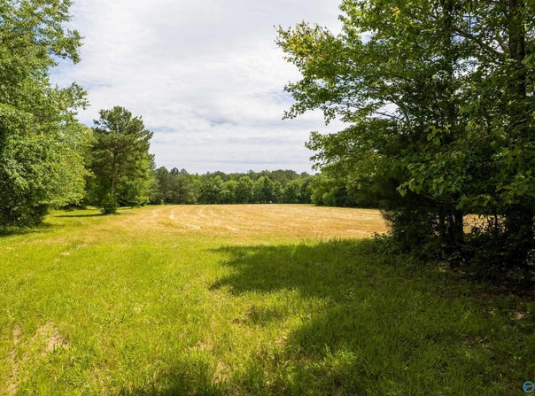 343 County Road 814, Flat Rock, AL 35966
