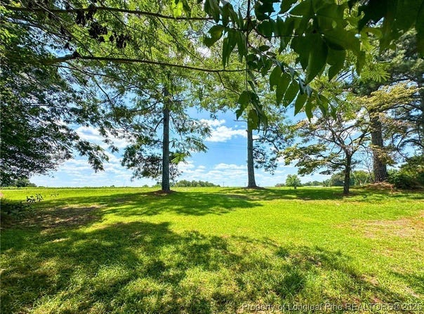 Tbd Old Us Hwy 701 Road, Clinton, NC 28328
