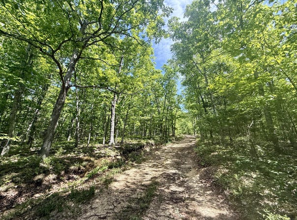 Bailey Road, Licking, MO 65542