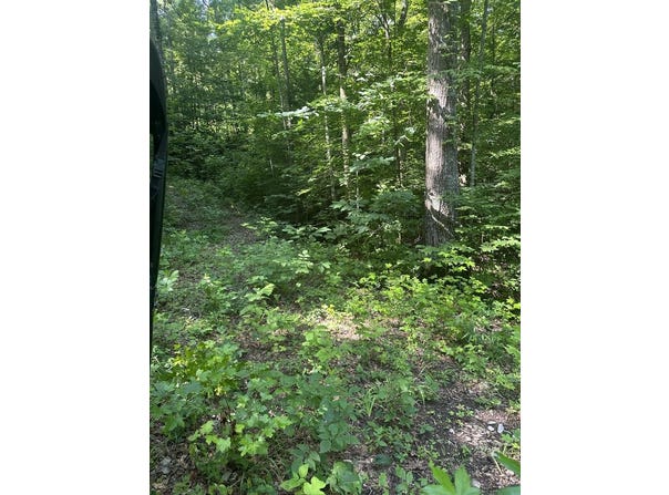 Grabber Lane lot: 419, Wilder, TN 38589