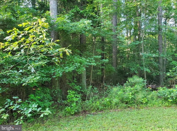 45493 DEER CROSSING LANE, CALIFORNIA, MD 20619