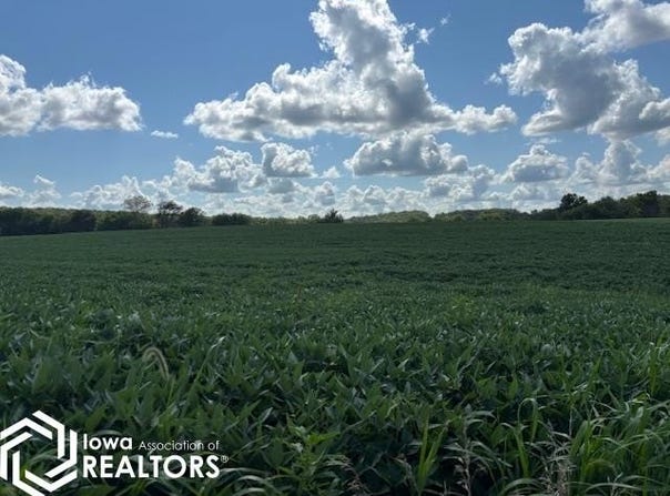 Bethel Rock Avenue, Douds, IA 52551