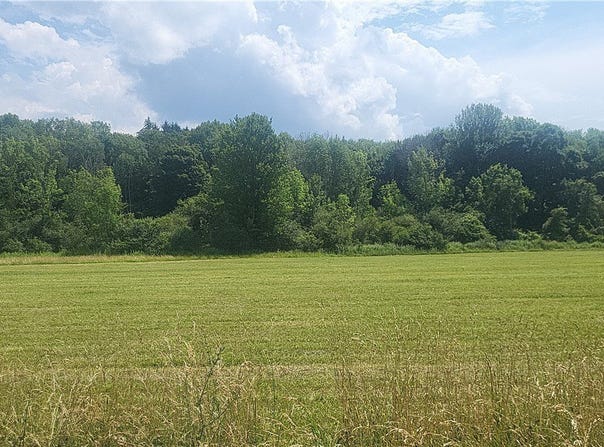 Lot 3 Co Rte 91, Ellisburg, NY 13636