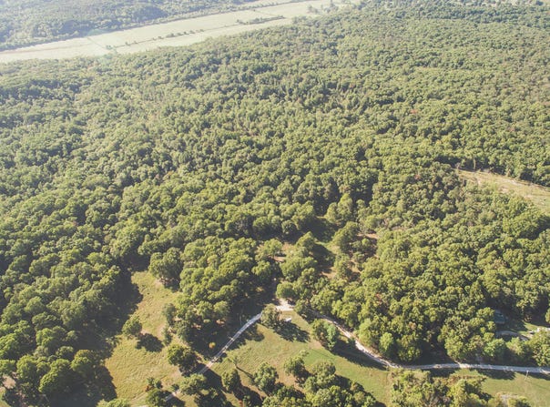 Lonnie Lane, Seneca, MO 64865