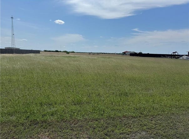 Anaqua, Orange Grove, TX 78003