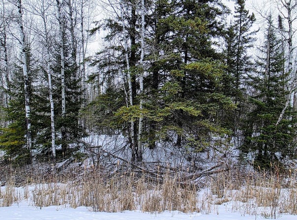County Road 91, International Falls, MN 56649